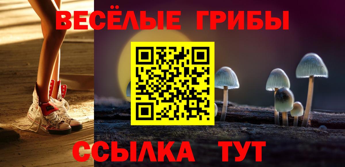 Псилоцибиновые грибы Magic Shrooms  Вход с VPN  Сертолово  Галлюциногенные грибы Cubensis 